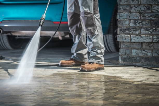 Best Roof Cleaning and Mildew Removal in Denton, MD