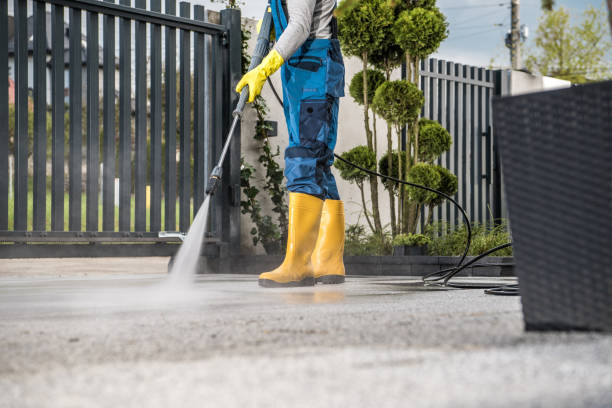 Best Pool Deck Cleaning in Denton, MD