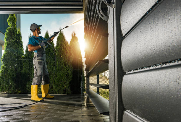 Best Driveway Cleaning and Restoration in Denton, MD